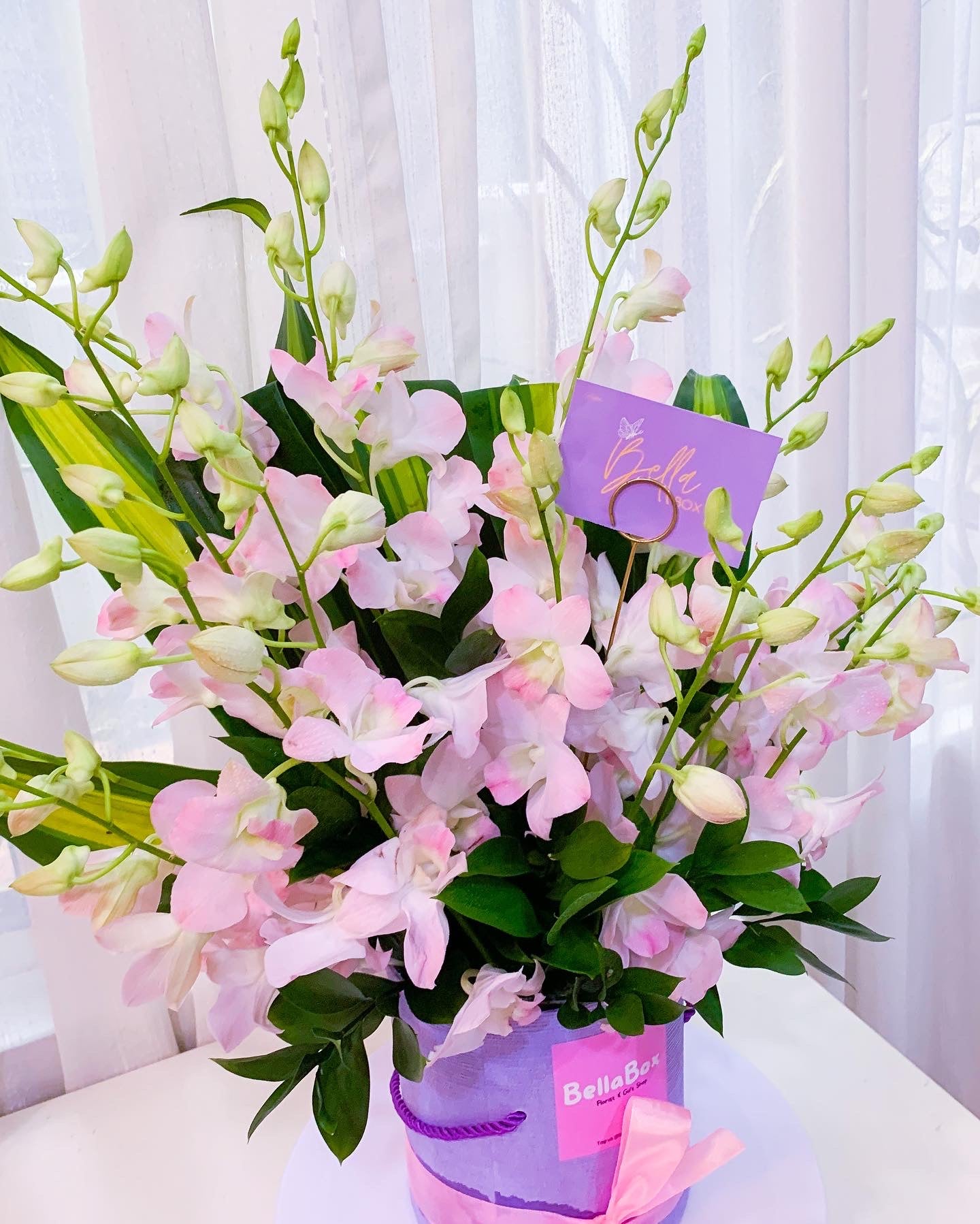 Fresh Pink Orchids Box