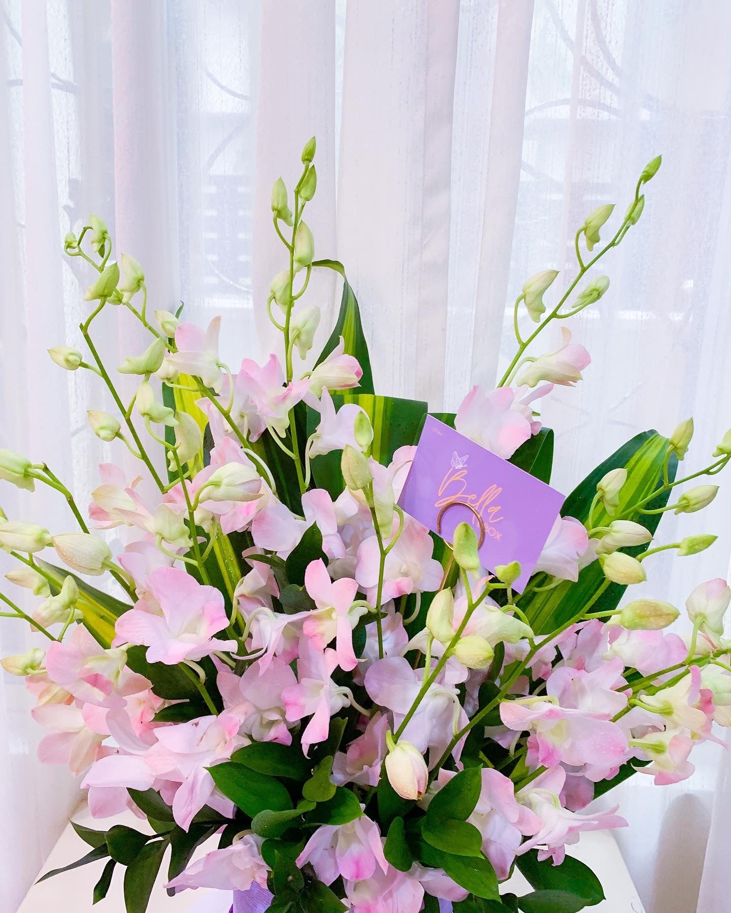 Fresh Pink Orchids Box